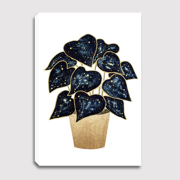 600x600-canvas-future-image-TheFlowDesign_Philodendron-Constellations
