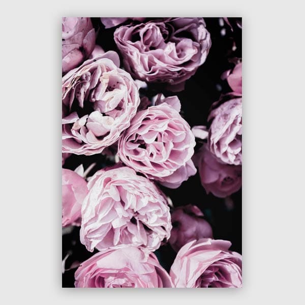 600x600-Pink-Flowers-III