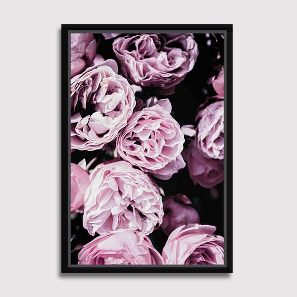canvas-Frame-no-matte-hitam-Pink-Flowers-III(1)