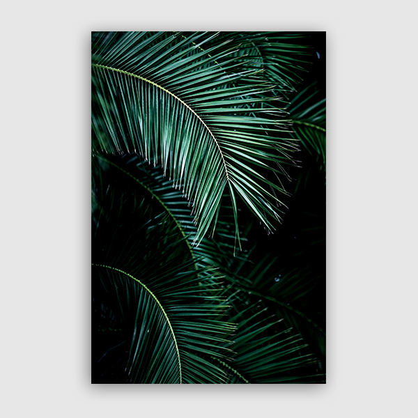Palm-Leaves-9--Mareike-Bohmer-Art-Print-No-Matte